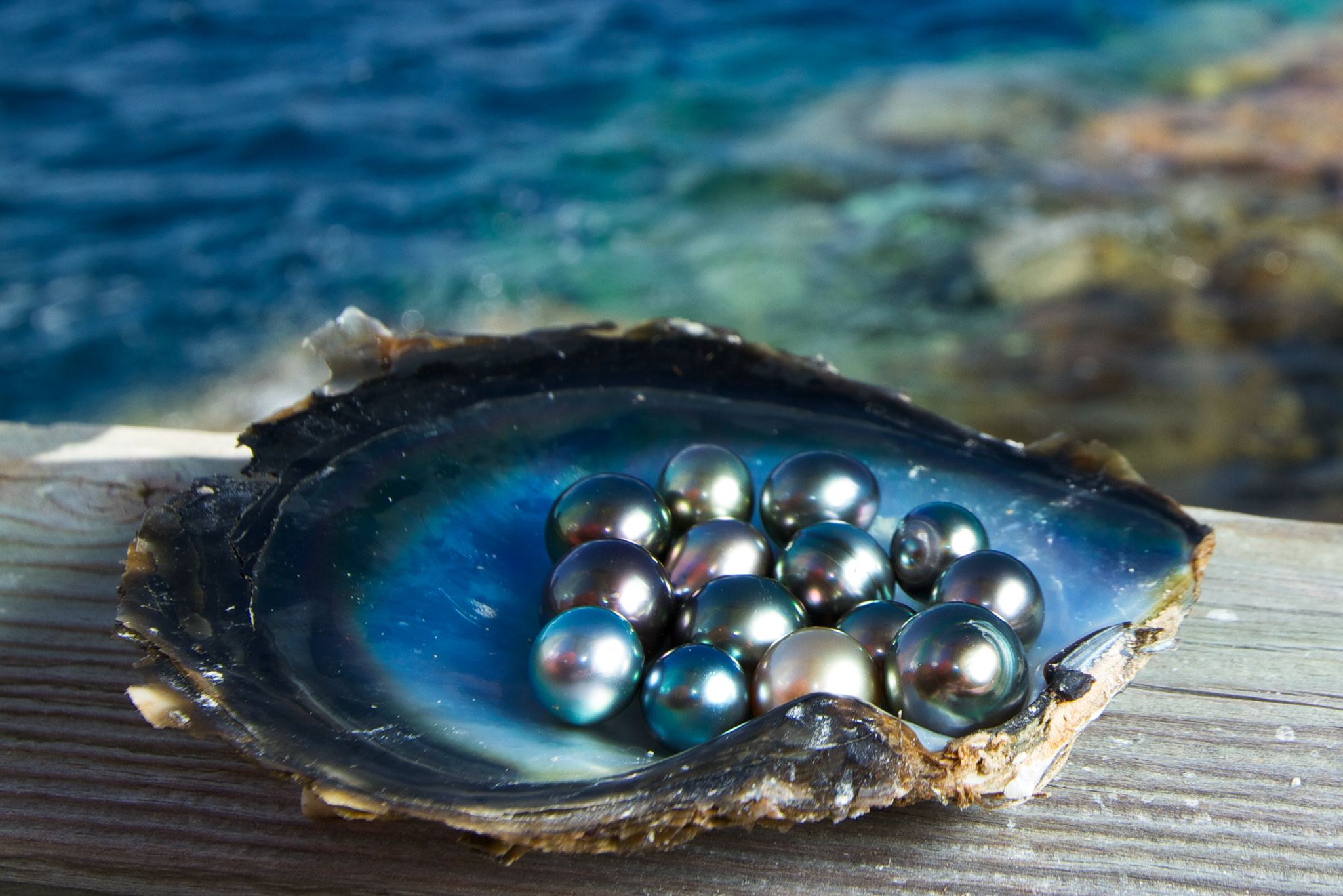 Tahitian Pearl Value: How is it Measured? - TPS Blog